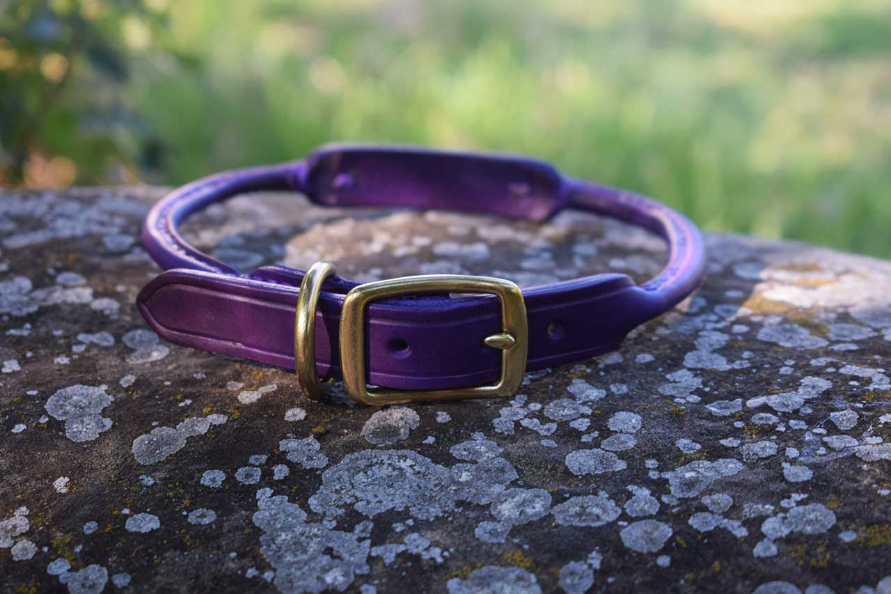 Collare tubolare con targhetta in ottone personalizzata, fatto in cuoio viola con fibbia in ottone.